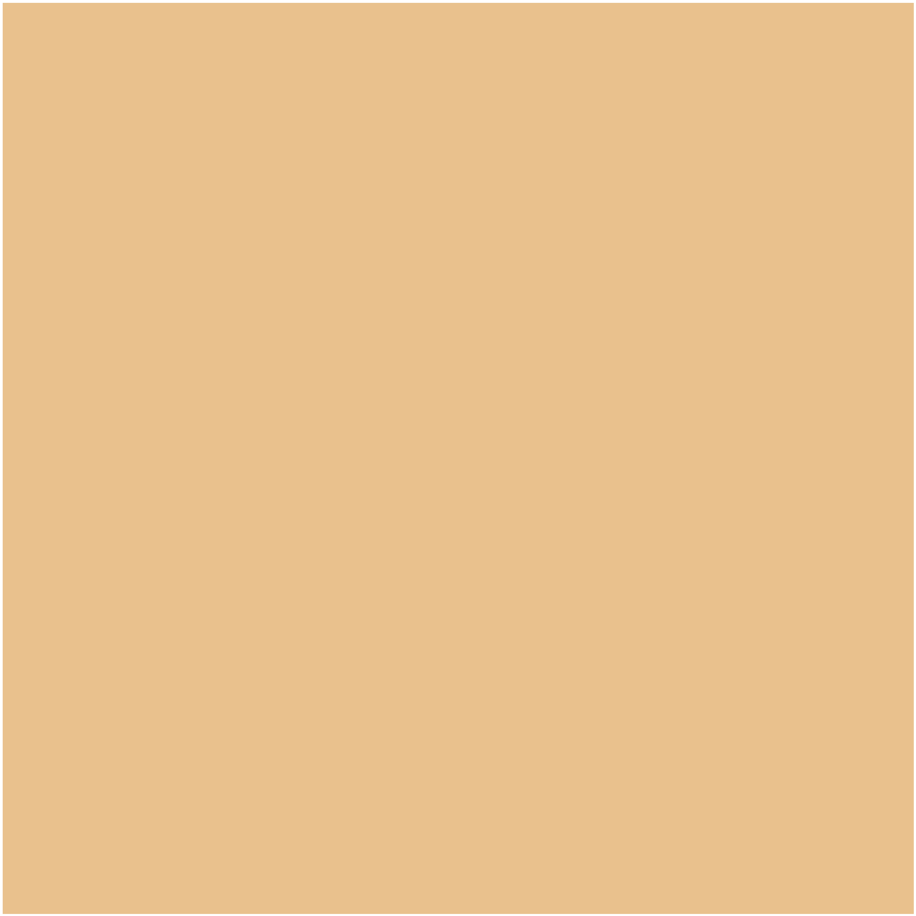 Spot Treat Concealer - Glo Skin Beauty UK&I